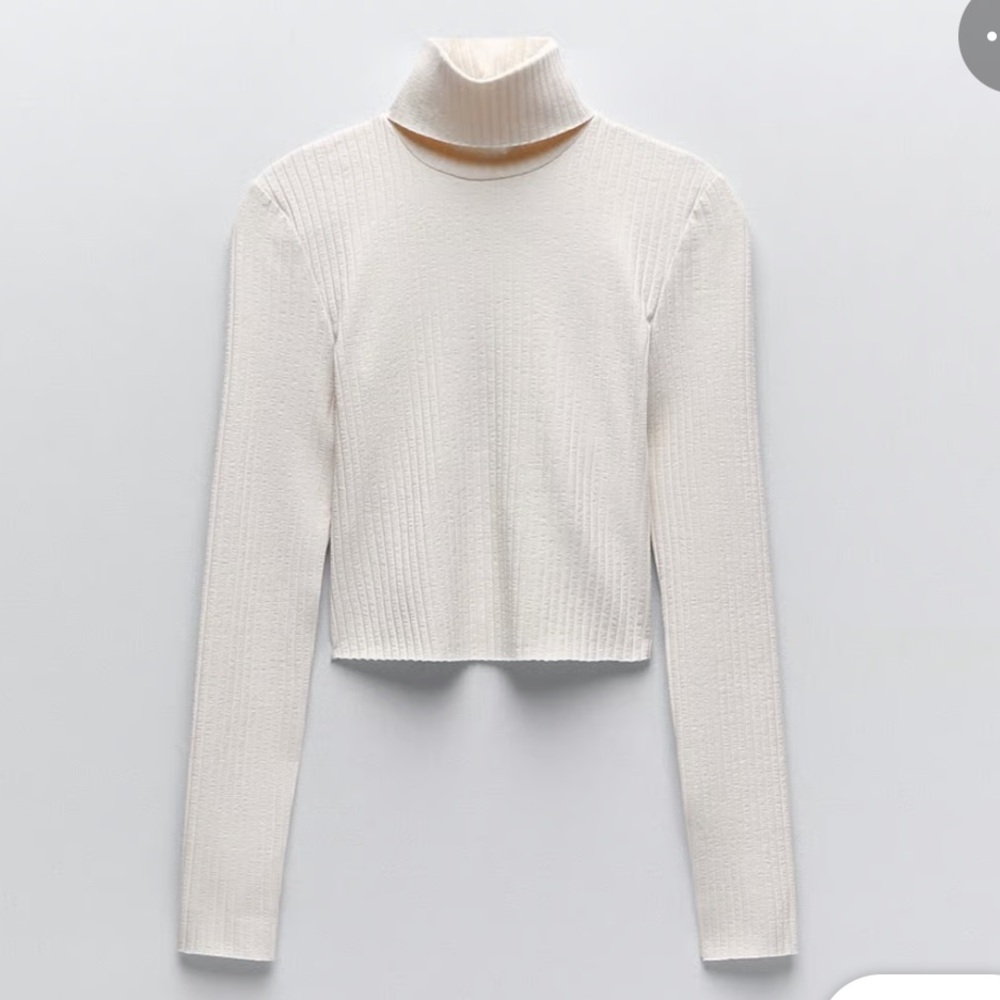 Zara Off-White Ribbed Turtleneck Knit Crop Top